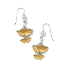 Load image into Gallery viewer, Everbloom Ginko Pearl French Wire Earrings
