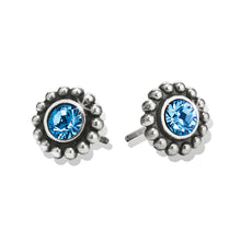 Load image into Gallery viewer, Twinkle Mini Post Earrings

