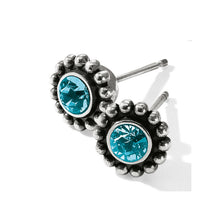 Load image into Gallery viewer, Twinkle Mini Post Earrings
