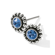 Load image into Gallery viewer, Twinkle Mini Post Earrings
