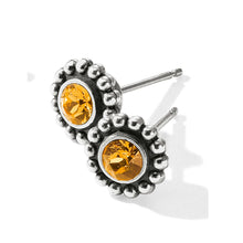 Load image into Gallery viewer, Twinkle Mini Post Earrings
