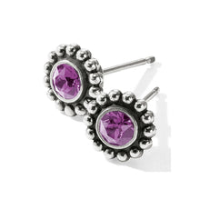 Load image into Gallery viewer, Twinkle Mini Post Earrings
