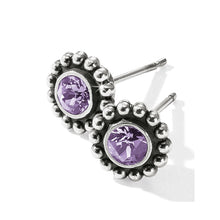 Load image into Gallery viewer, Twinkle Mini Post Earrings
