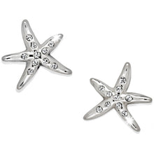 Load image into Gallery viewer, Cape Star Mini Post Earrings
