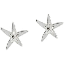 Load image into Gallery viewer, Cape Star Mini Post Earrings
