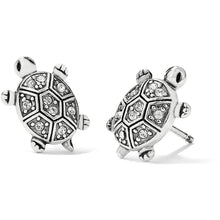Load image into Gallery viewer, Fortune Turtles Mini Post Earrings
