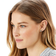 Load image into Gallery viewer, Fortune Turtles Mini Post Earrings
