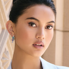 Load image into Gallery viewer, Halo Gleam Drop Post Earrings
