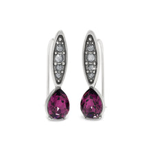 Load image into Gallery viewer, Mystery Of Love French Wire Earrings
