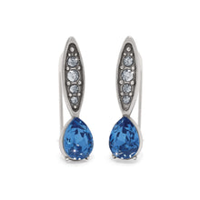 Load image into Gallery viewer, Mystery Of Love French Wire Earrings
