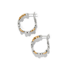Load image into Gallery viewer, Pebble Edge Small Hoop Earrings

