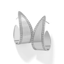 Load image into Gallery viewer, Palm Canyon Bold Hoop Earrings

