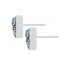 Load image into Gallery viewer, Trust Your Journey Post Earrings
