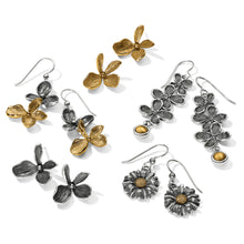 Load image into Gallery viewer, Everbloom Duo French Wire Earrings
