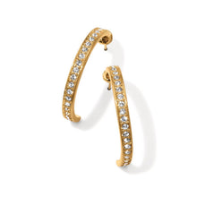 Load image into Gallery viewer, Meridian Zenith Medium Hoop Earrings

