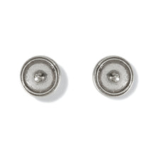 Load image into Gallery viewer, Monete Post Earrings
