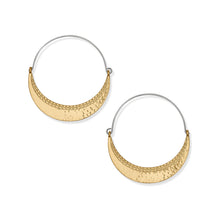 Load image into Gallery viewer, Palm Canyon Large Hoop Earrings
