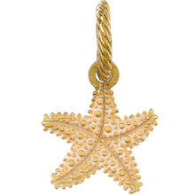 Load image into Gallery viewer, Beach Star Charm
