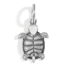 Load image into Gallery viewer, Pismo Turtle Charm
