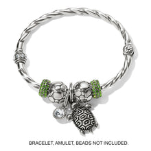 Load image into Gallery viewer, Pismo Turtle Charm
