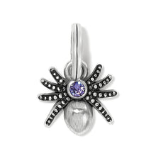 Load image into Gallery viewer, Spooky Spider Charm
